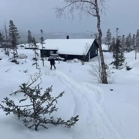 Дом отдыха New Cabin With Mountain And Trailbiking And Ski In Ski Out Right Outside The Door *
